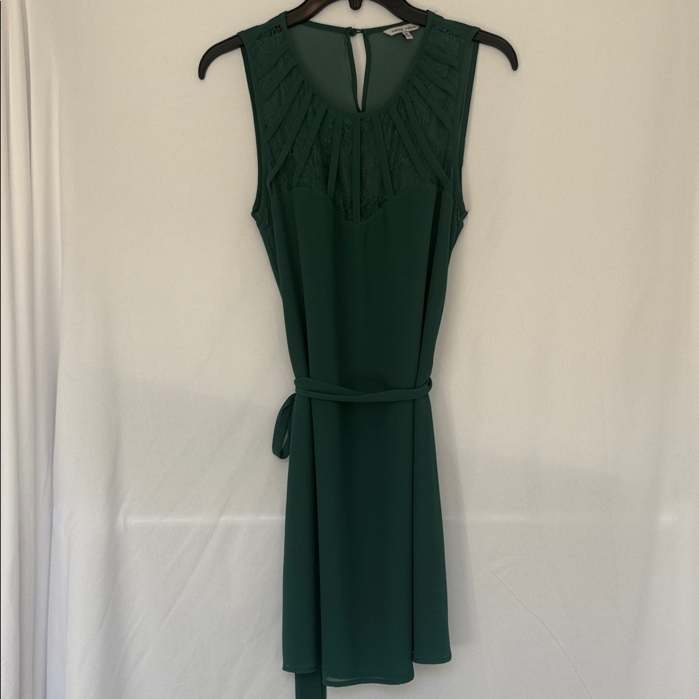 Naked Zebra Sleeveless Green Mini Dress